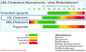 cholesterinwerte-tabelle nach alter
